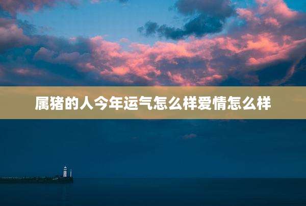 属猪的人今年运气怎么样爱情怎么样