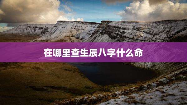 在哪里查生辰八字什么命