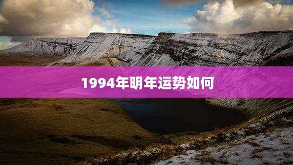 1994年明年运势如何