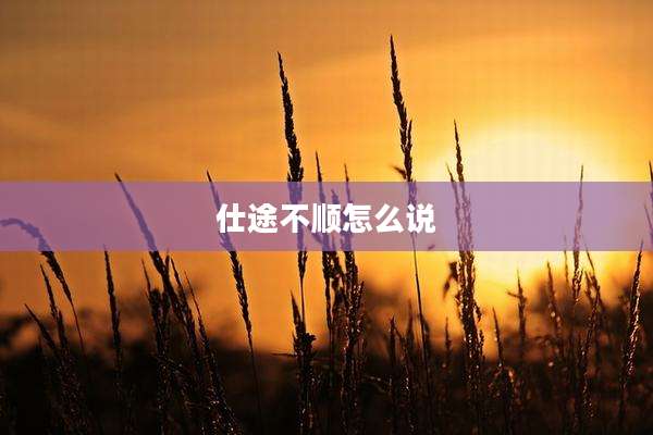 仕途不顺怎么说