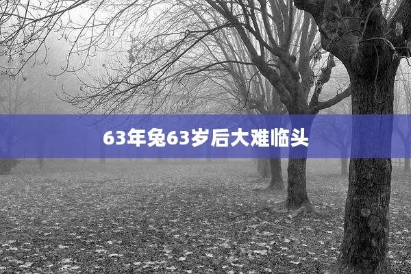 63年兔63岁后大难临头