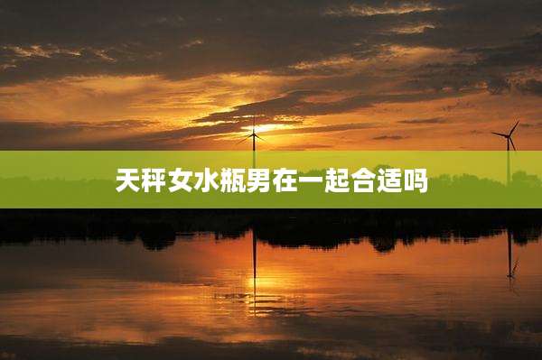 天秤女水瓶男在一起合适吗