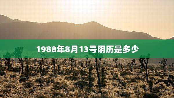 1988年8月13号阴历是多少