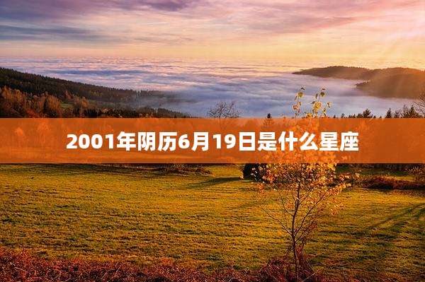 2001年阴历6月19日是什么星座