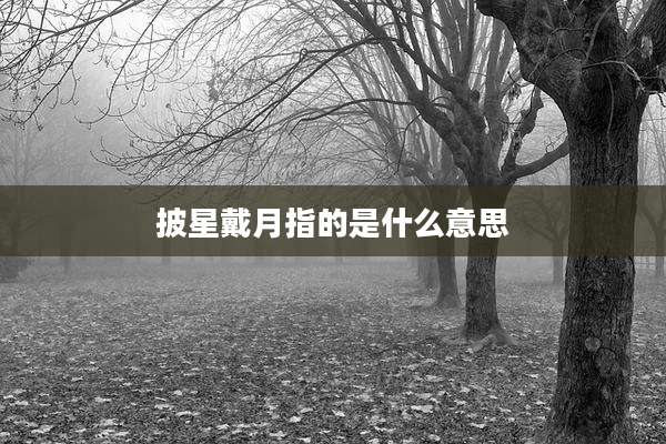 披星戴月指的是什么意思