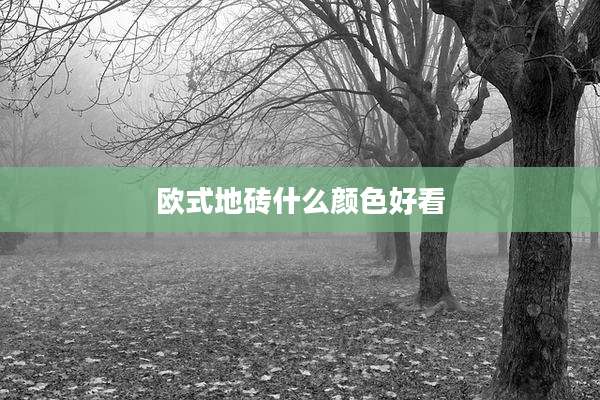 欧式地砖什么颜色好看