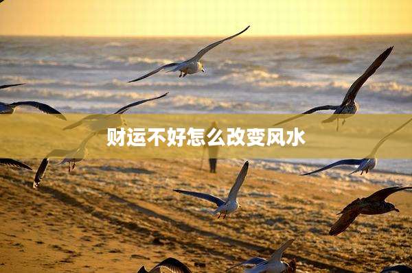 财运不好怎么改变风水