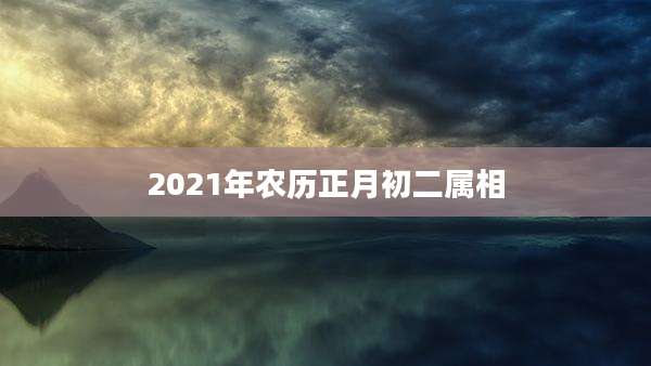 2021年农历正月初二属相