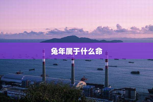 兔年属于什么命