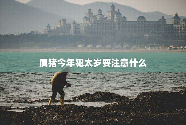 属猪今年犯太岁要注意什么