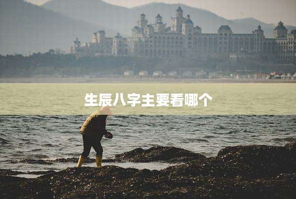 生辰八字主要看哪个
