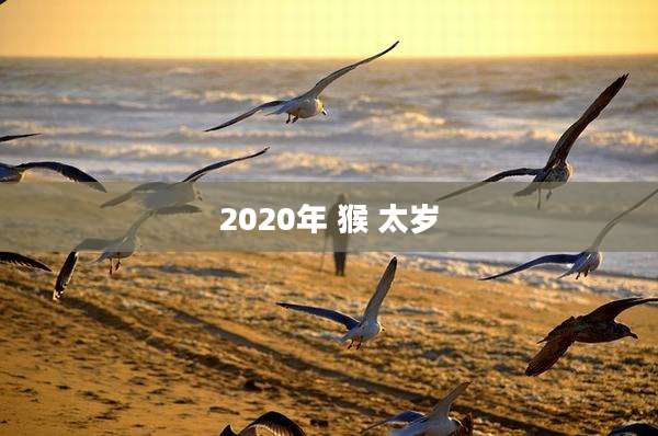 2020年 猴 太岁