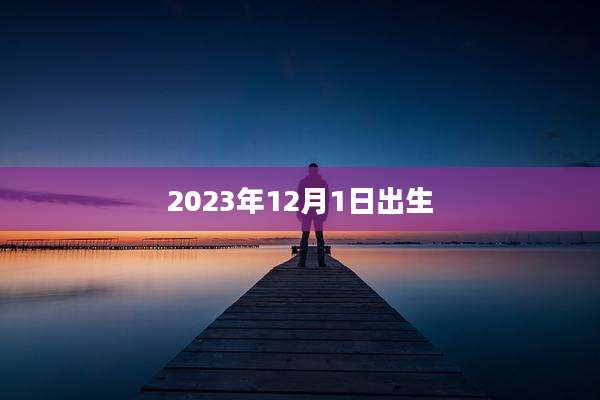 2023年12月1日出生