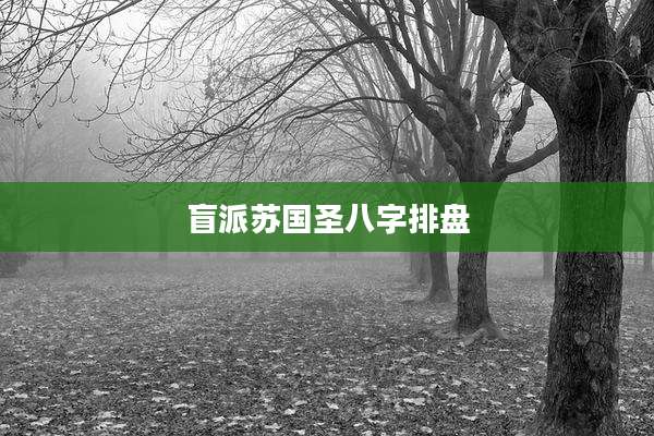 盲派苏国圣八字排盘