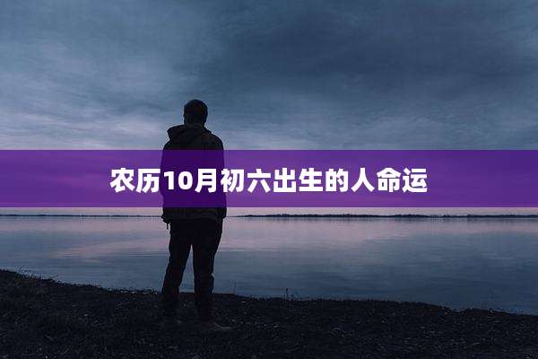 农历10月初六出生的人命运
