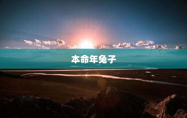 本命年兔子