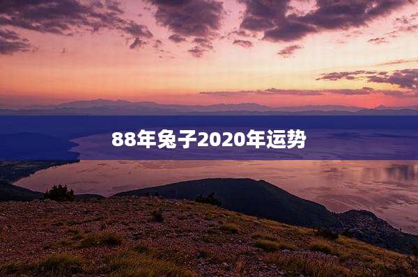 88年兔子2020年运势
