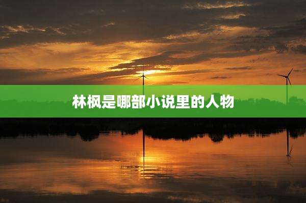 林枫是哪部小说里的人物