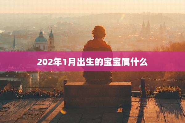 202年1月出生的宝宝属什么