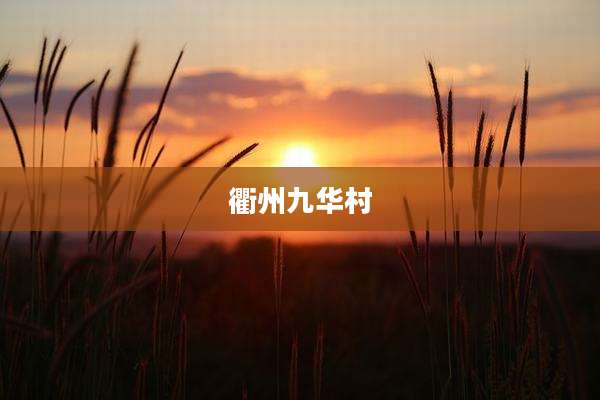 衢州九华村