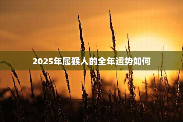 2025年属猴人的全年运势如何