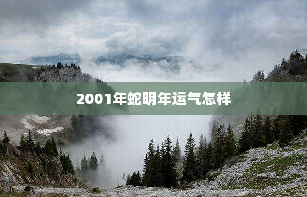 2001年蛇明年运气怎样