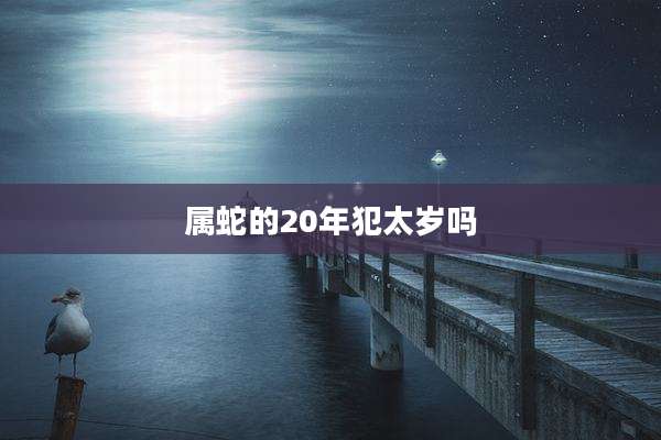 属蛇的20年犯太岁吗
