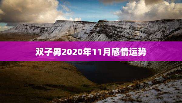 双子男2020年11月感情运势