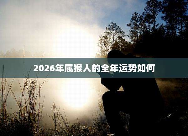 2026年属猴人的全年运势如何