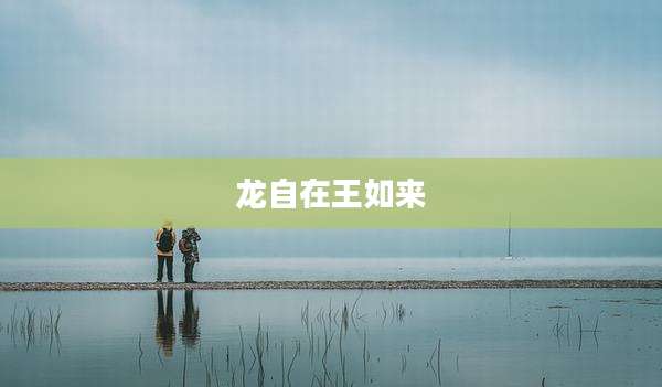 龙自在王如来