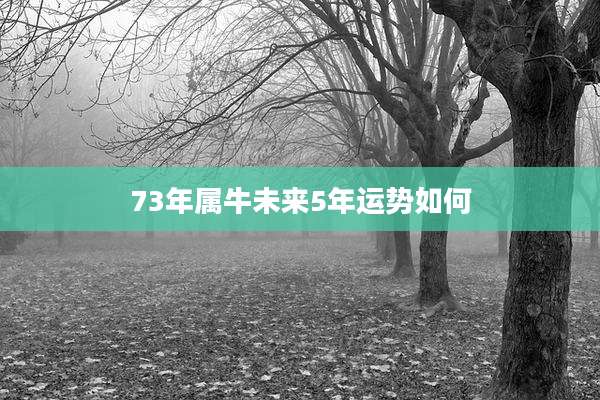 73年属牛未来5年运势如何