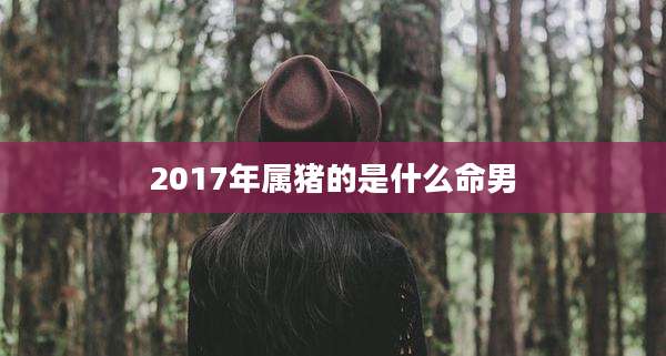 2017年属猪的是什么命男