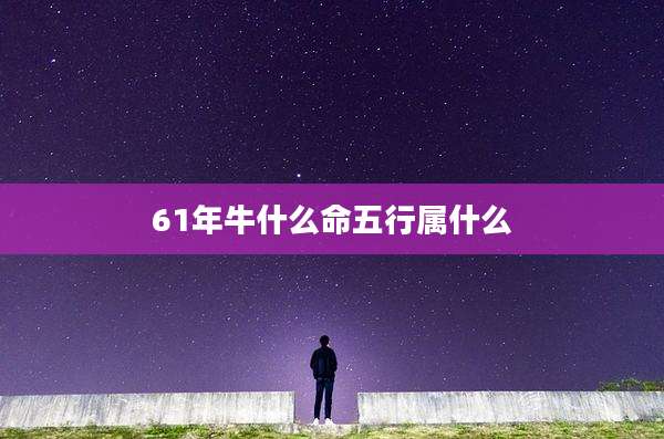 61年牛什么命五行属什么
