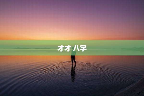 才才 八字