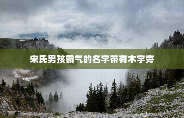 宋氏男孩霸气的名字带有木字旁