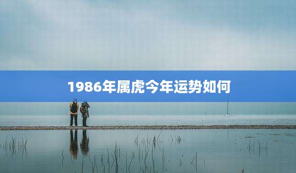 1986年属虎今年运势如何