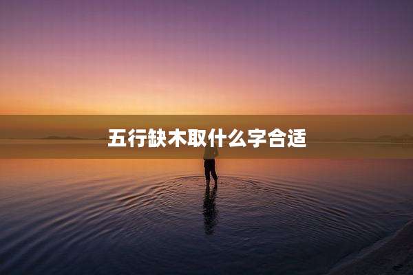 五行缺木取什么字合适