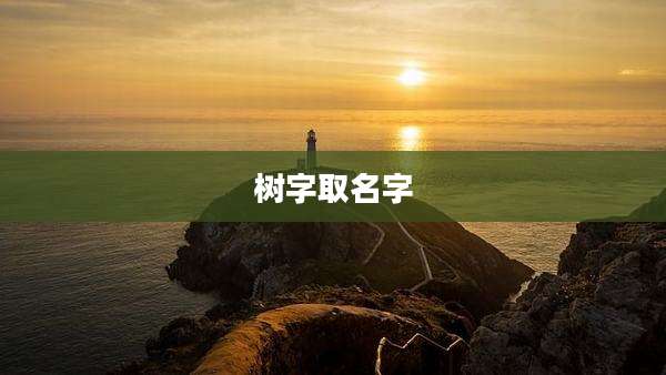 树字取名字