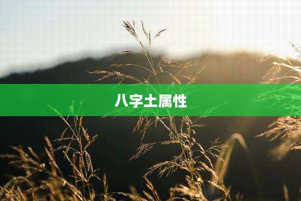 八字土属性