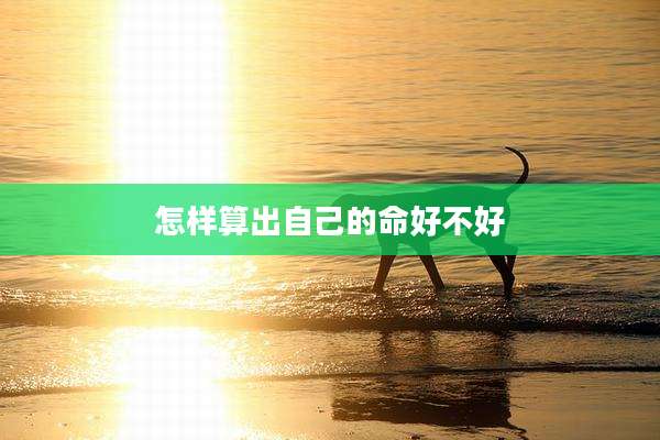怎样算出自己的命好不好