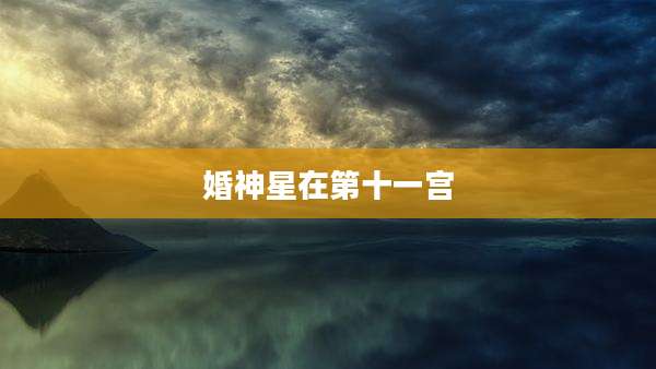 婚神星在第十一宫