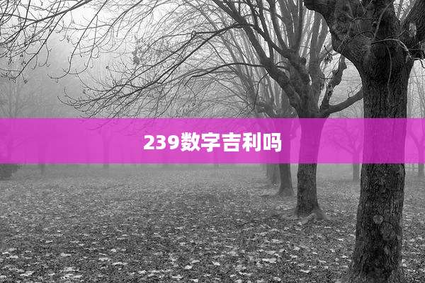 239数字吉利吗