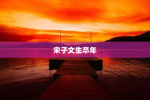 宋子文生卒年