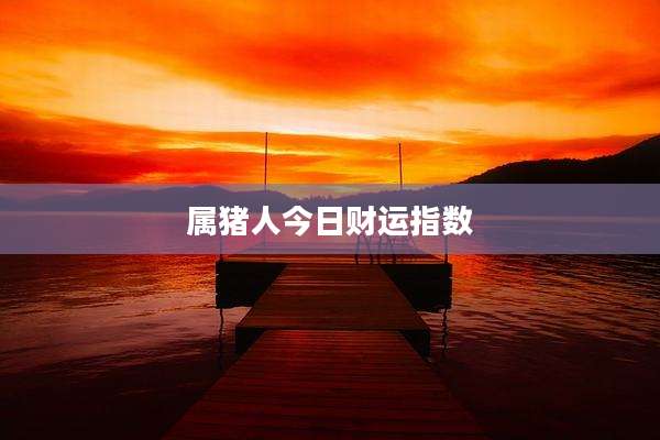 属猪人今日财运指数