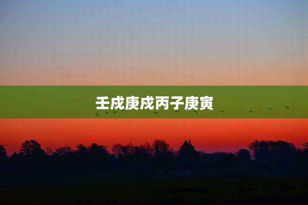 壬戍庚戍丙子庚寅