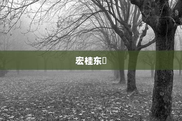 宏桂东昇