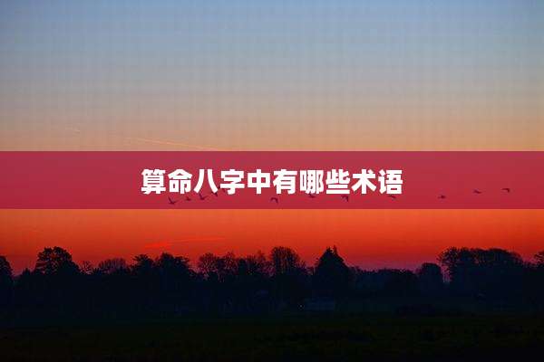 算命八字中有哪些术语
