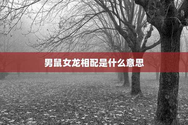男鼠女龙相配是什么意思