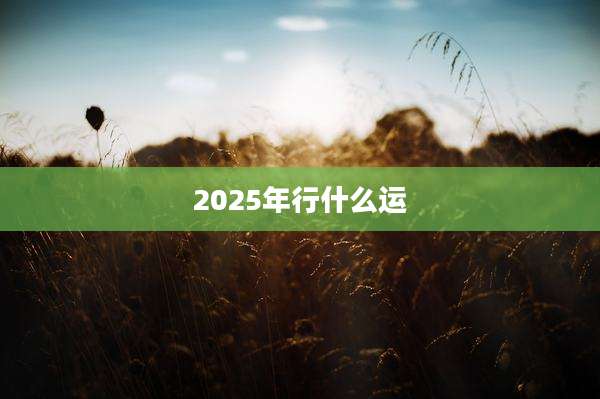 2025年行什么运