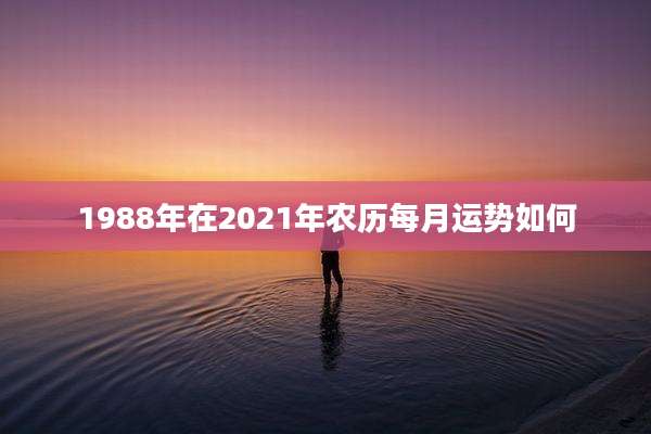 1988年在2021年农历每月运势如何